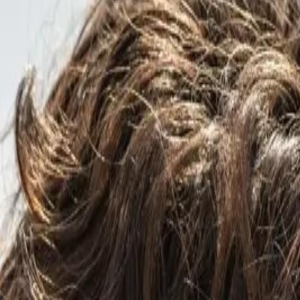 回应演员罢工！电影《沙丘2》取消圣迭戈漫展活动