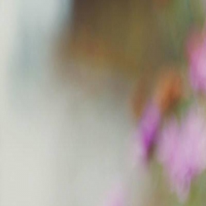 张爱玲《半生缘》：曼桢的这种肢体语言，其实是喜欢世钧的暗示