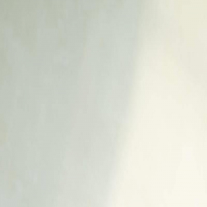 张小斐的成名路