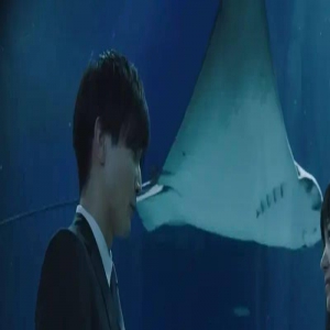 “什么叫支持性情侣？”