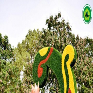 赏荷花啦！2023成都市荷花节开幕