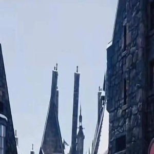 史可俩混血儿子长大了！老大肌肉健壮似施瓦辛格，老二瘦削颜值高