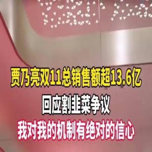 39岁贾乃亮成双11最大赢家！收入高达13.6亿元，比去年增长近5倍