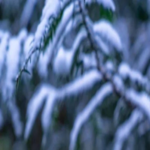 快看！快看！北川下雪了......