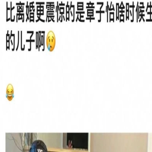 章子怡啥时候生了儿子，狗仔爆料汪峰离婚