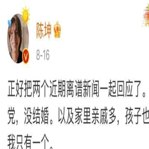 陈坤：不会和周迅结婚