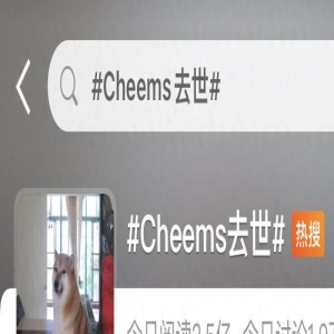 还记得表情包小狗Cheems吗？它的原型去世了...